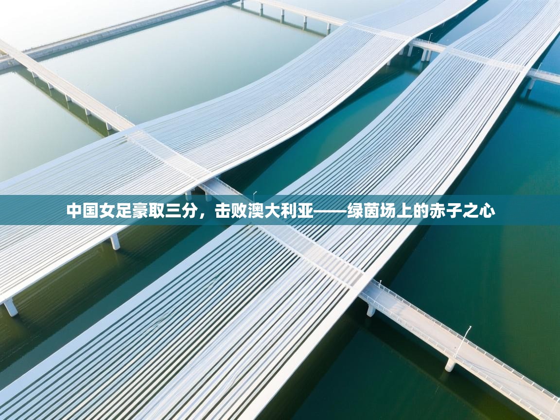 中国女足豪取三分，击败澳大利亚——绿茵场上的赤子之心  第2张